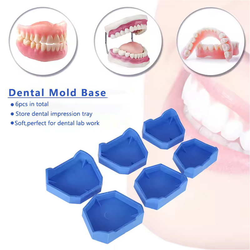 2/6Pcs Dental Model Base Silic - Model Kit Tool ulasan dan harga