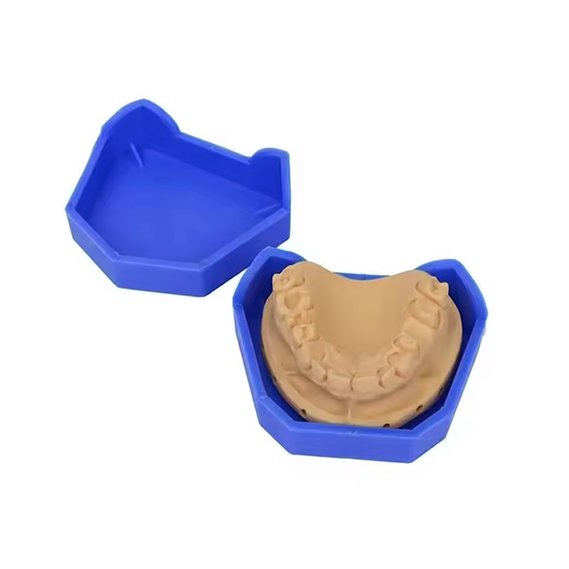 2/6Pcs Dental Model Base Silic - Model Kit Tool ulasan dan harga