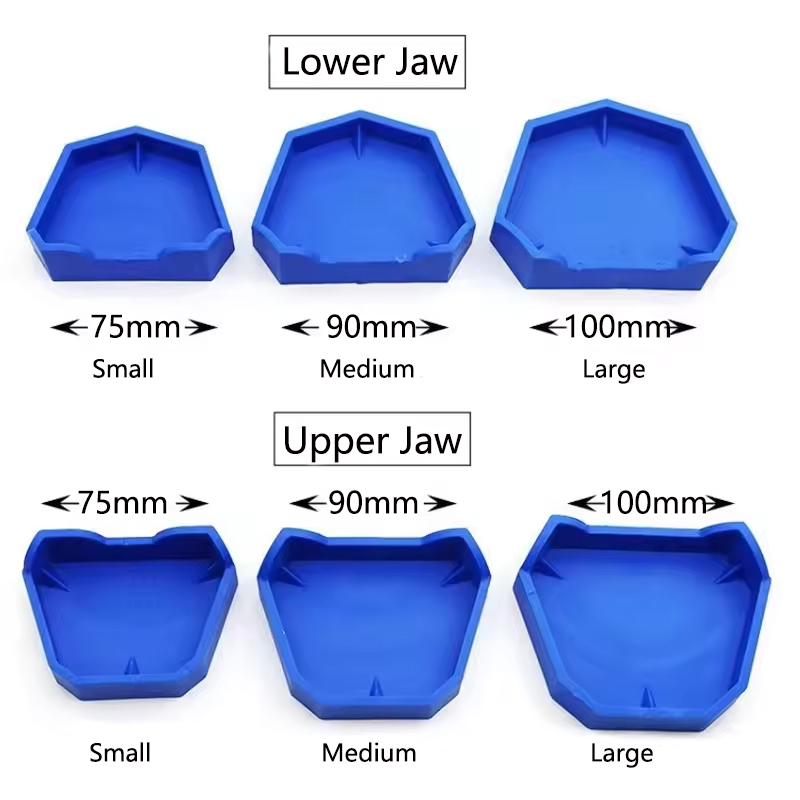2/6Pcs Dental Model Base Silic - Model Kit Tool ulasan dan harga