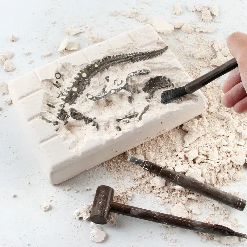 Dinosaur Excavation Fossil Arc - Model Kit Dinosaur ulasan dan harga
