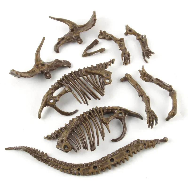 Dinosaur Excavation Fossil Arc - Model Kit Dinosaur ulasan dan harga
