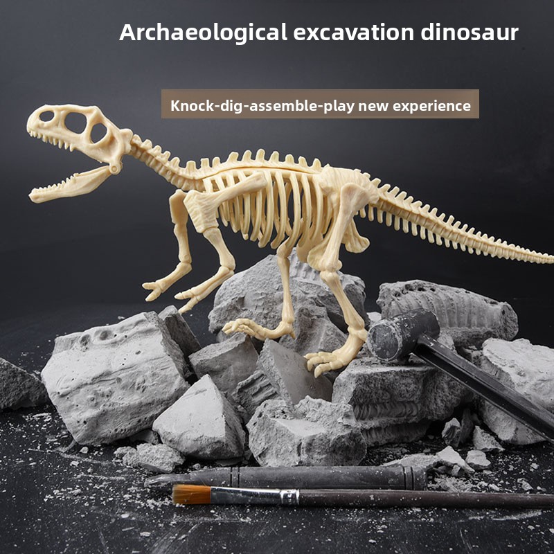 Dinosaur Fossil Excavation Kit - Model Kit Dinosaur ulasan dan harga