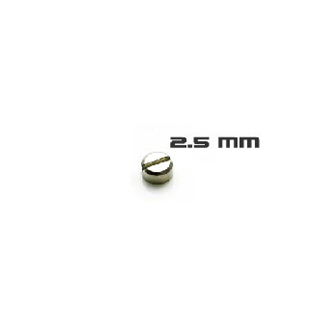 30pcs Armored Screws Model Sup - Model Kit Gundam Mg ulasan dan harga