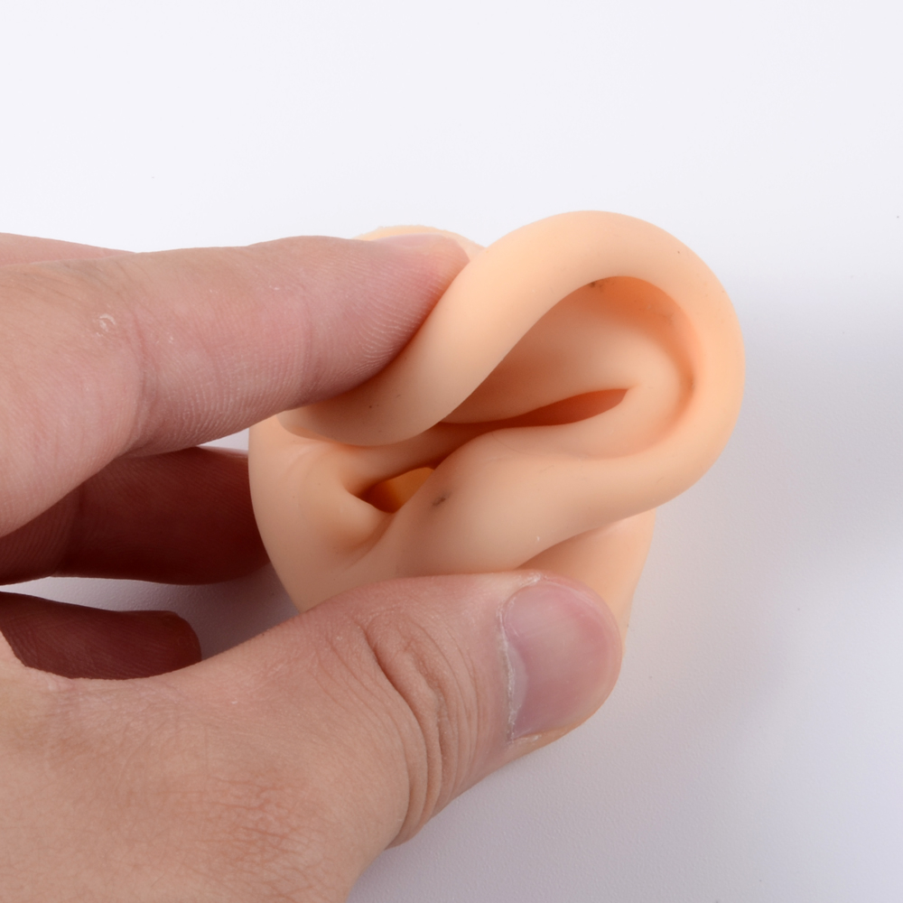 1Pc Soft Silicone Ear Model Ta - Model Kit Display Case ulasan dan harga