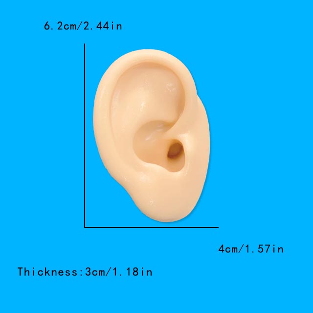 1Pc Soft Silicone Ear Model Ta - Model Kit Display Case ulasan dan harga